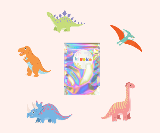 Dinosaurs DIY T-shirt Kit